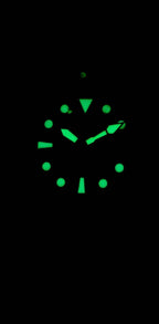 Ratio FreeDiver Helium Safe 1000M Stainless Steel Automatic 1066KE20-33VA-GRN Men's Watch
