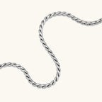 Men's 316L stainless steel twisted rope chain necklace, 560mm length, 3.9mm width, silver tone, screw clasp.