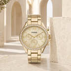 Fossil ES3202 38mm Women's Watch architectural view