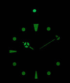 Invicta Pro Diver 30093 Automatic 200M Men's Watch
