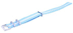 Ratio NATO24 Argentinien Nationalflagge Muster Polyester 22mm Uhrenarmband