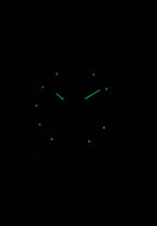 Orient Revival Automatic 22 Jewels RA-AA0B01G19B RA-AA0B01G39B Herrenuhr