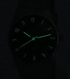 Skagen Grenen Lille Solar Powered Stainless Steel Mesh Bracelet Blue Dial SKW3080 Women's Watch