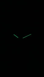 Skagen Signatur Leather Strap Black Dial Quartz SKW6902 Men's Watch