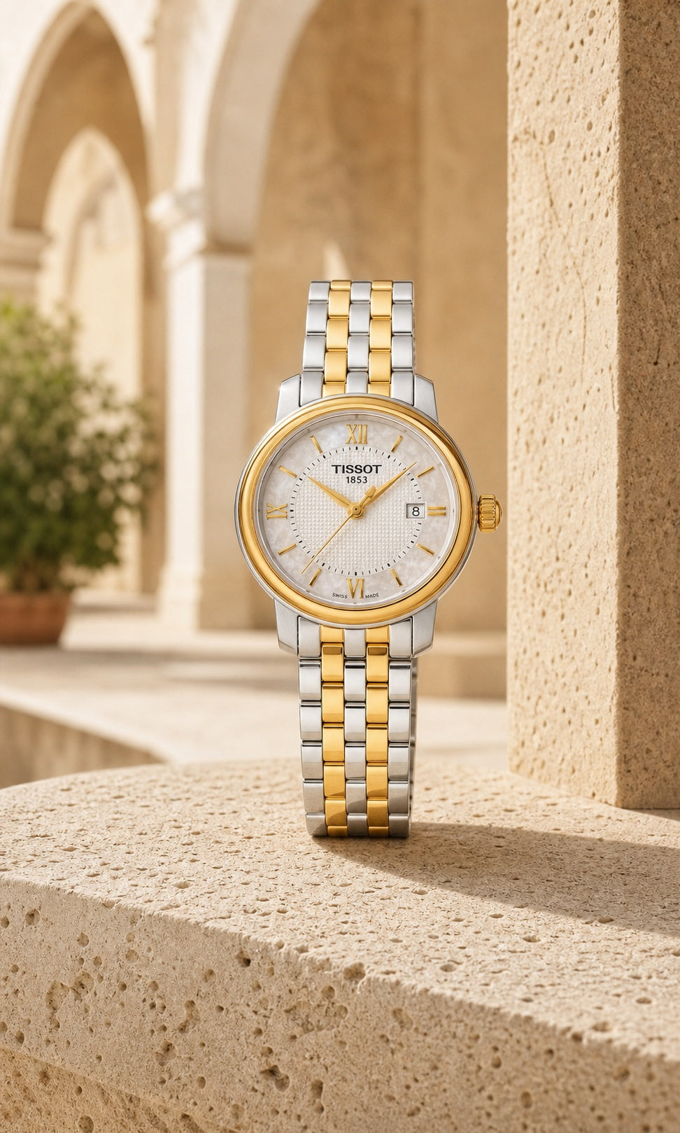Tissot Bridgeport Lady T097.010.22.118.00 product view 3