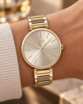 BOSS Allusion 1502415 worn on wrist