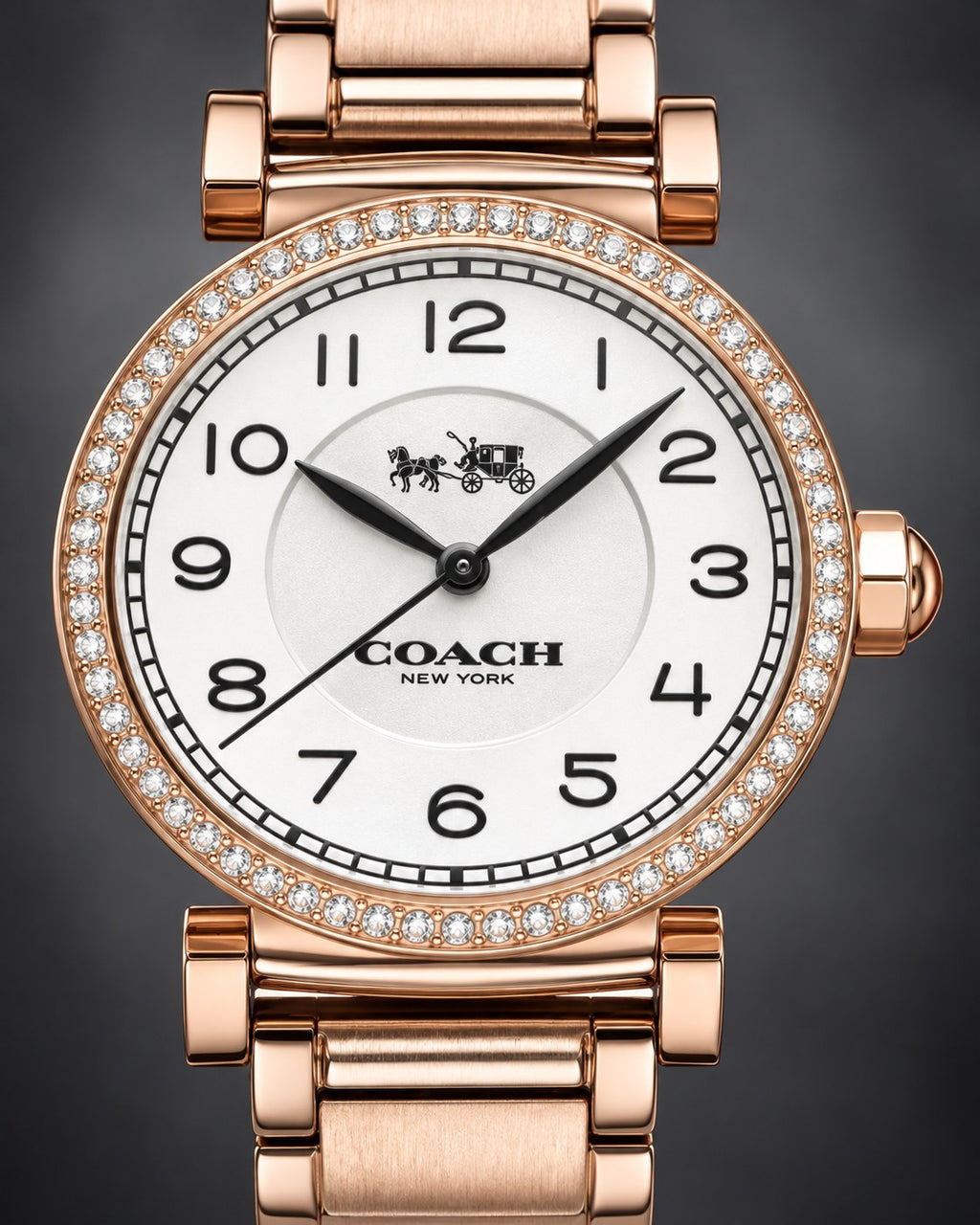 Coach watch 14502398 product view 3