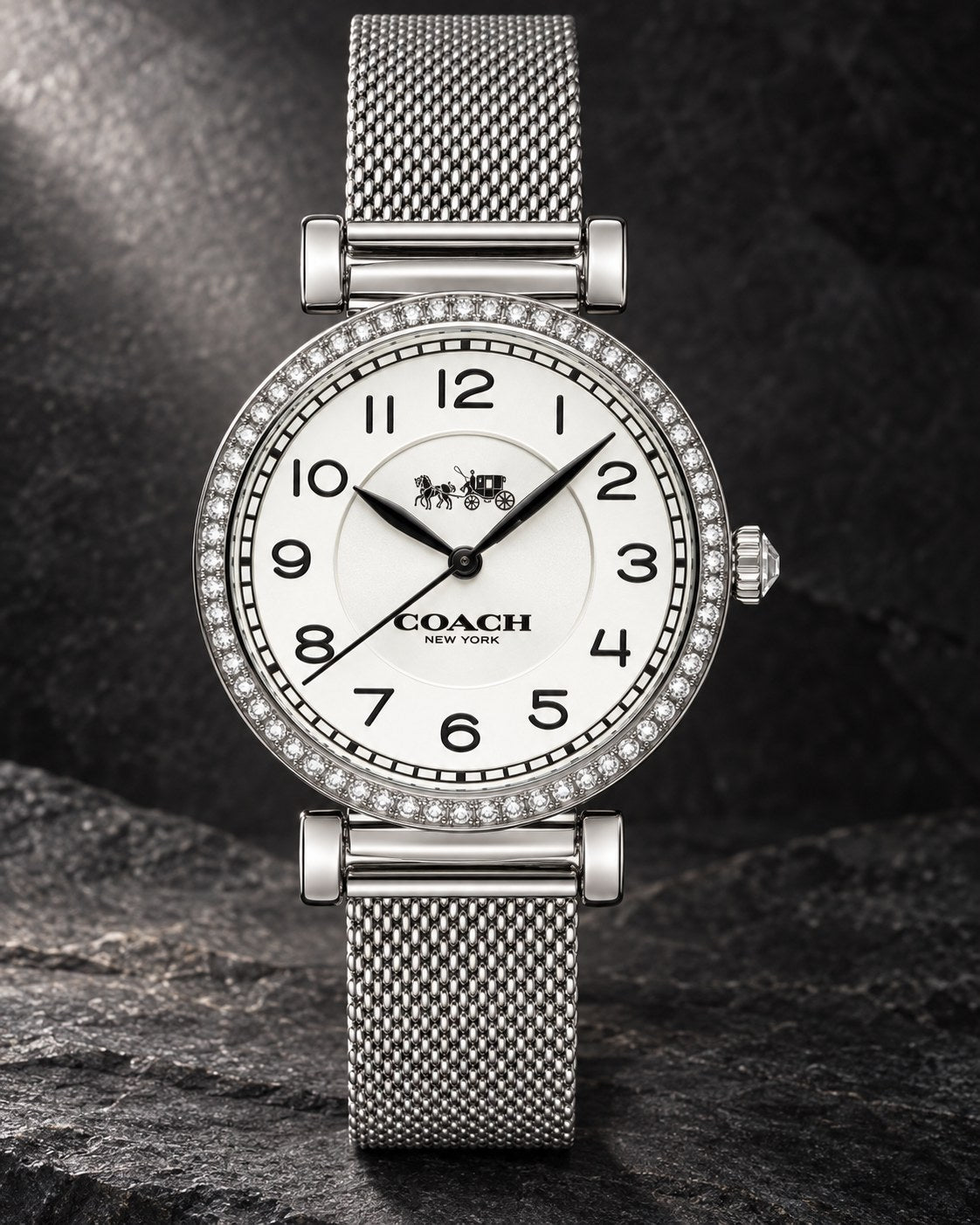 Coach watch 14502651 product view 2