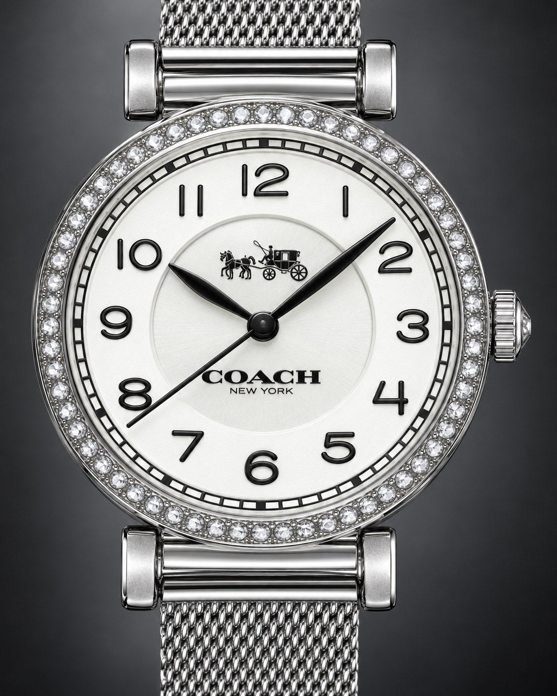 Coach watch 14502651 product view 3
