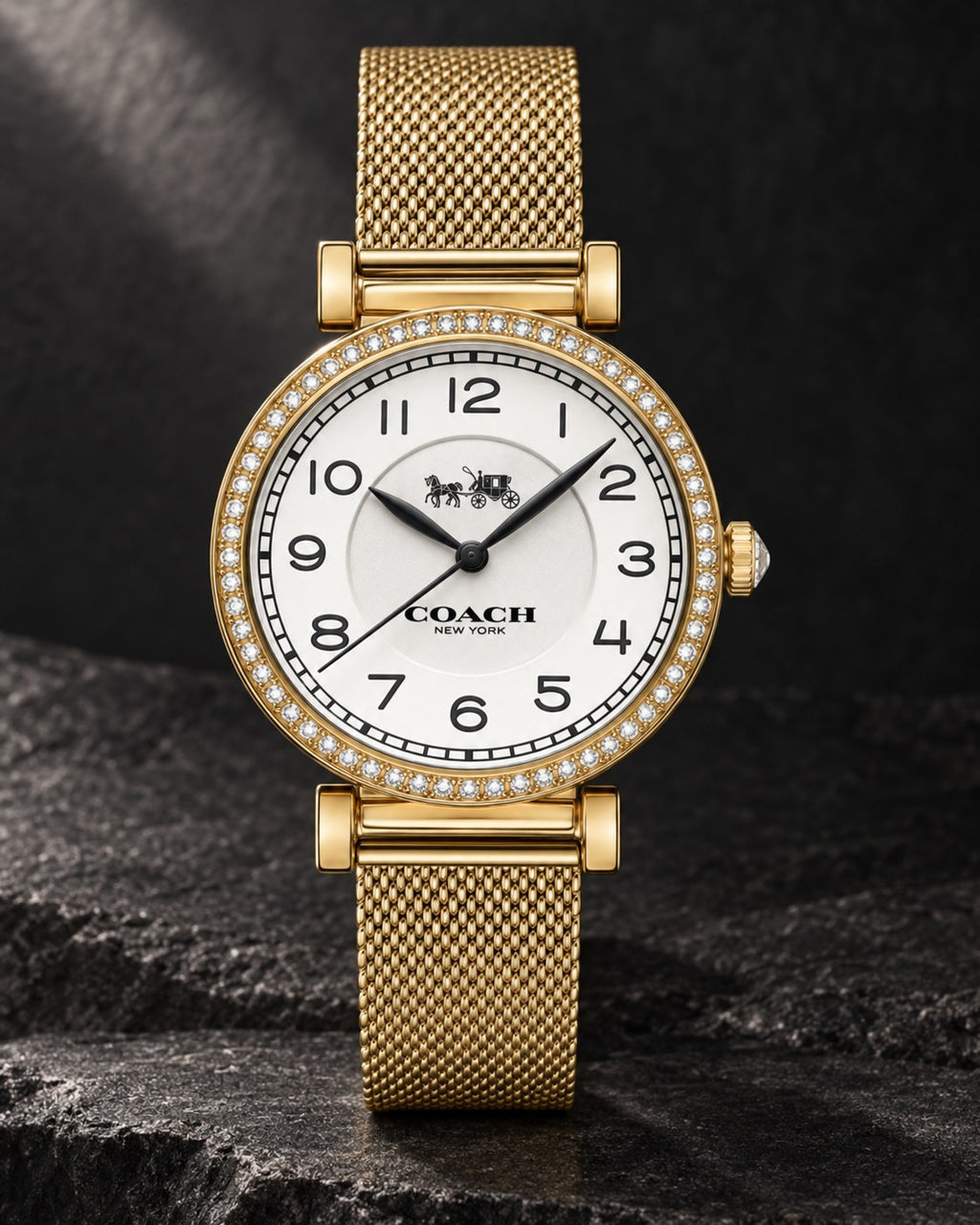 Coach watch 14502652 product view 2
