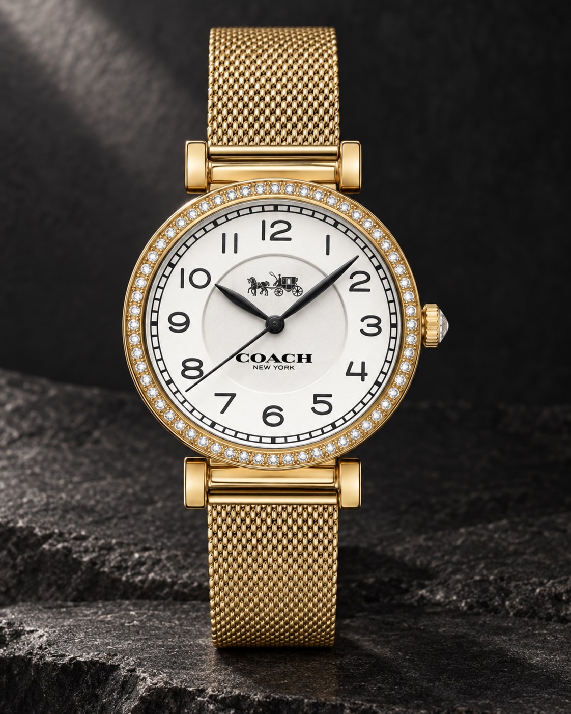 Coach watch 14502652 product view 2