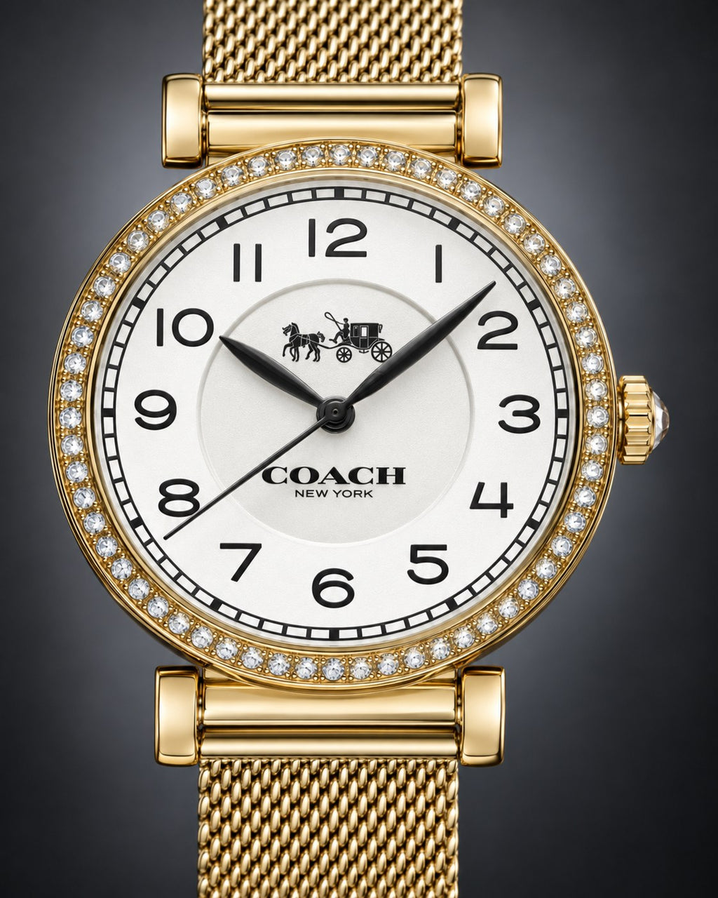 Coach watch 14502652 product view 3