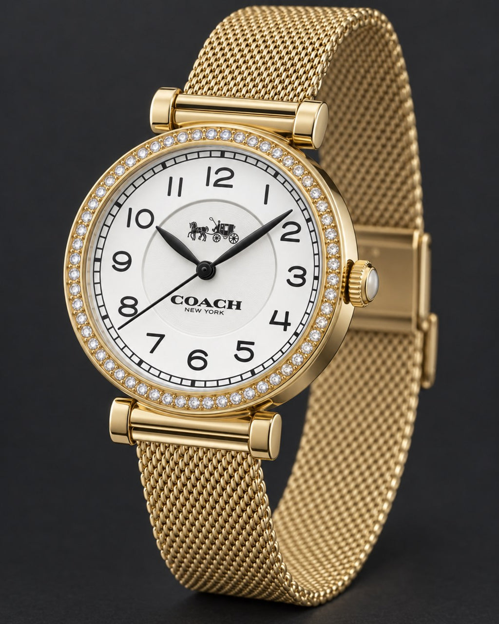 Coach watch 14502652 product view 5
