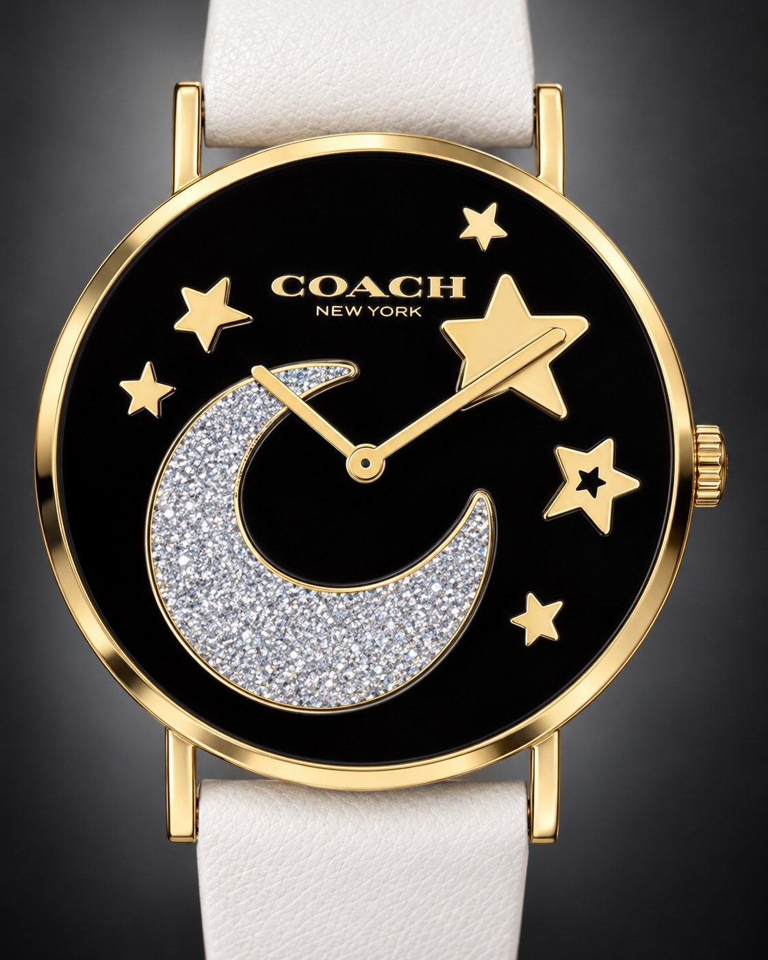 Coach watch 14503041 product view 3