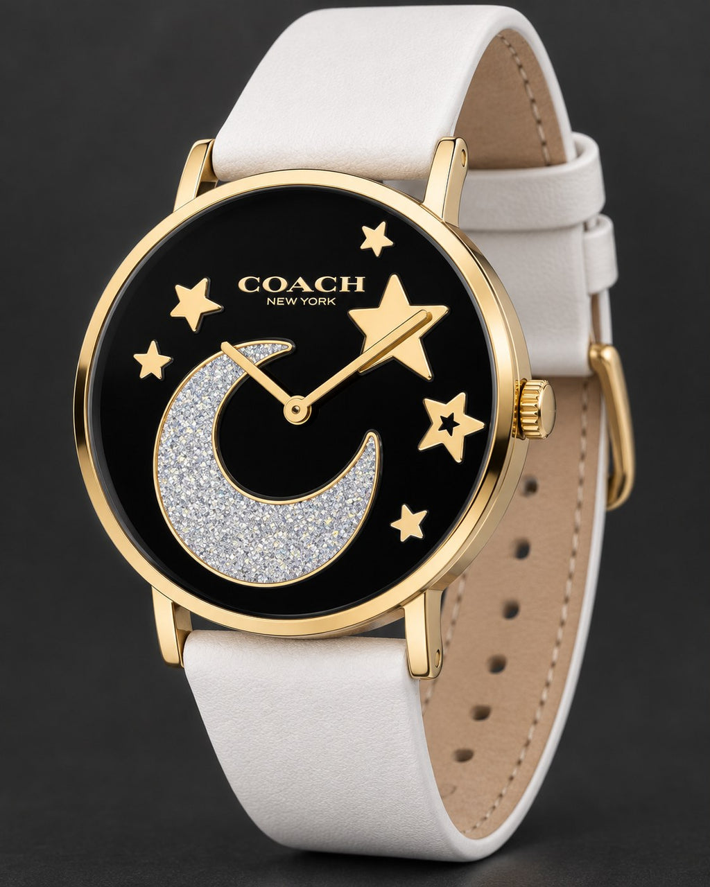 Coach watch 14503041 product view 5
