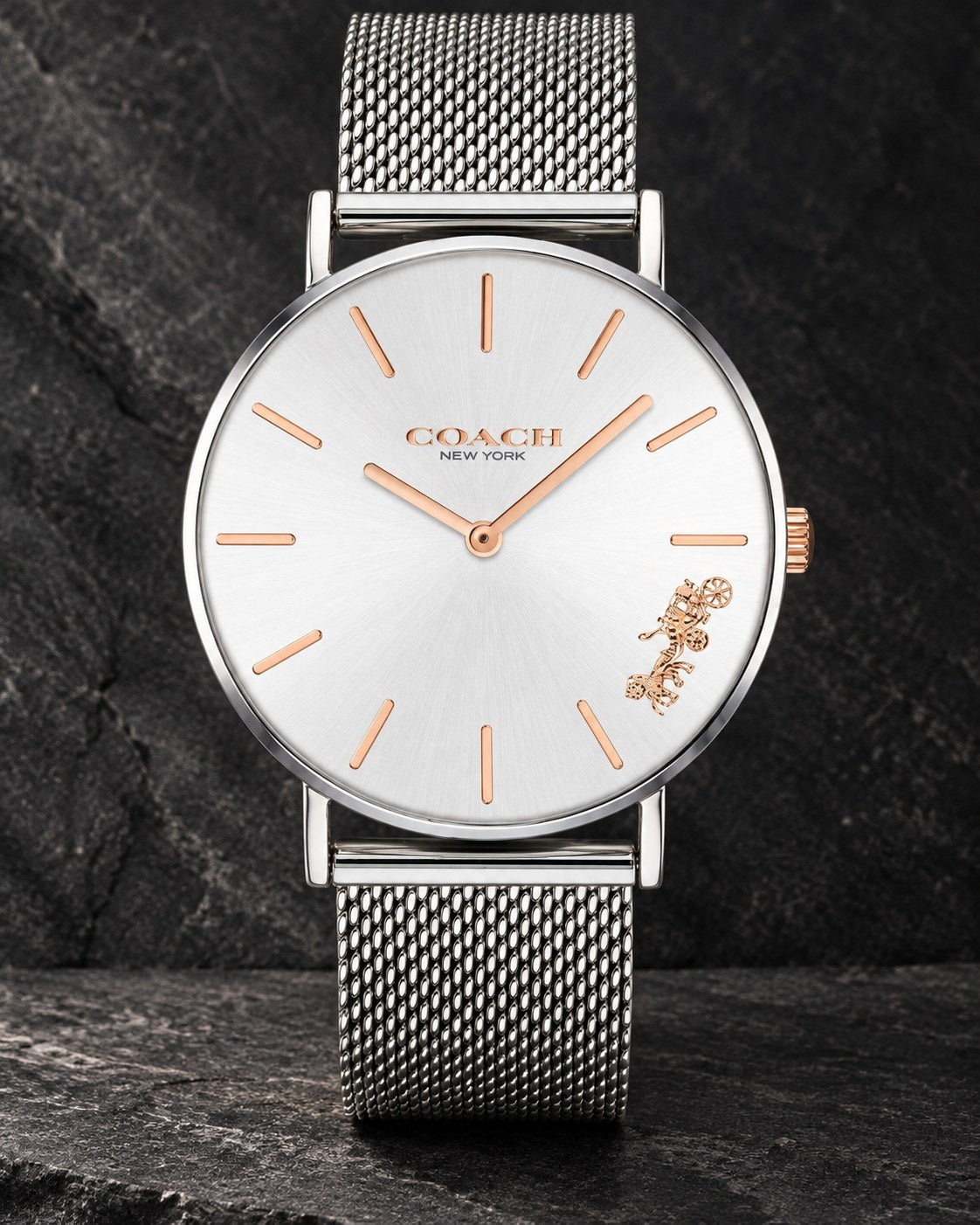 Coach watch 14503124 product view 2