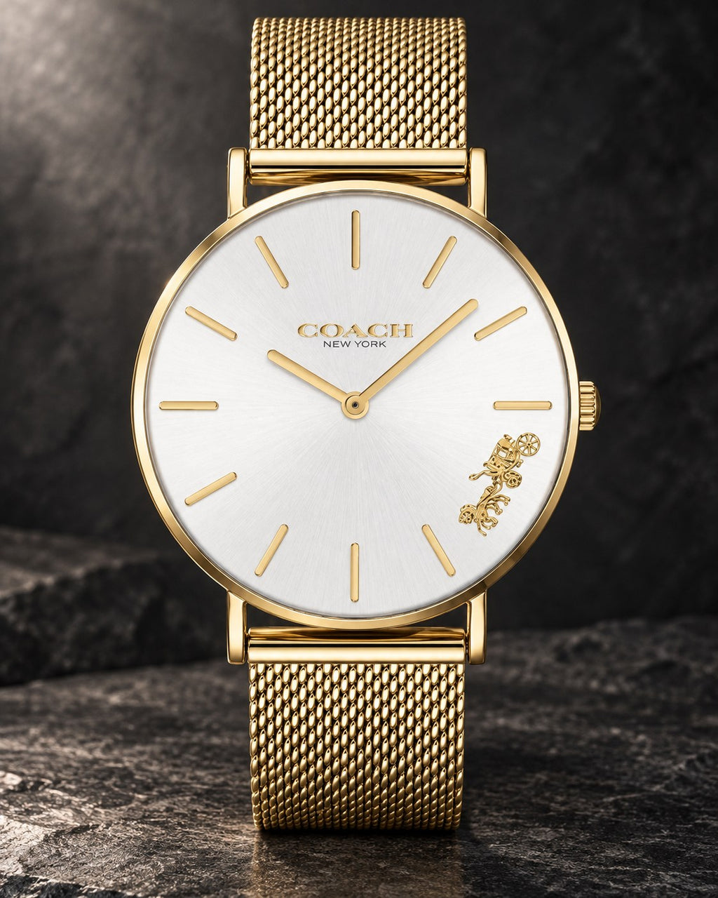 Coach watch 14503125 product view 2