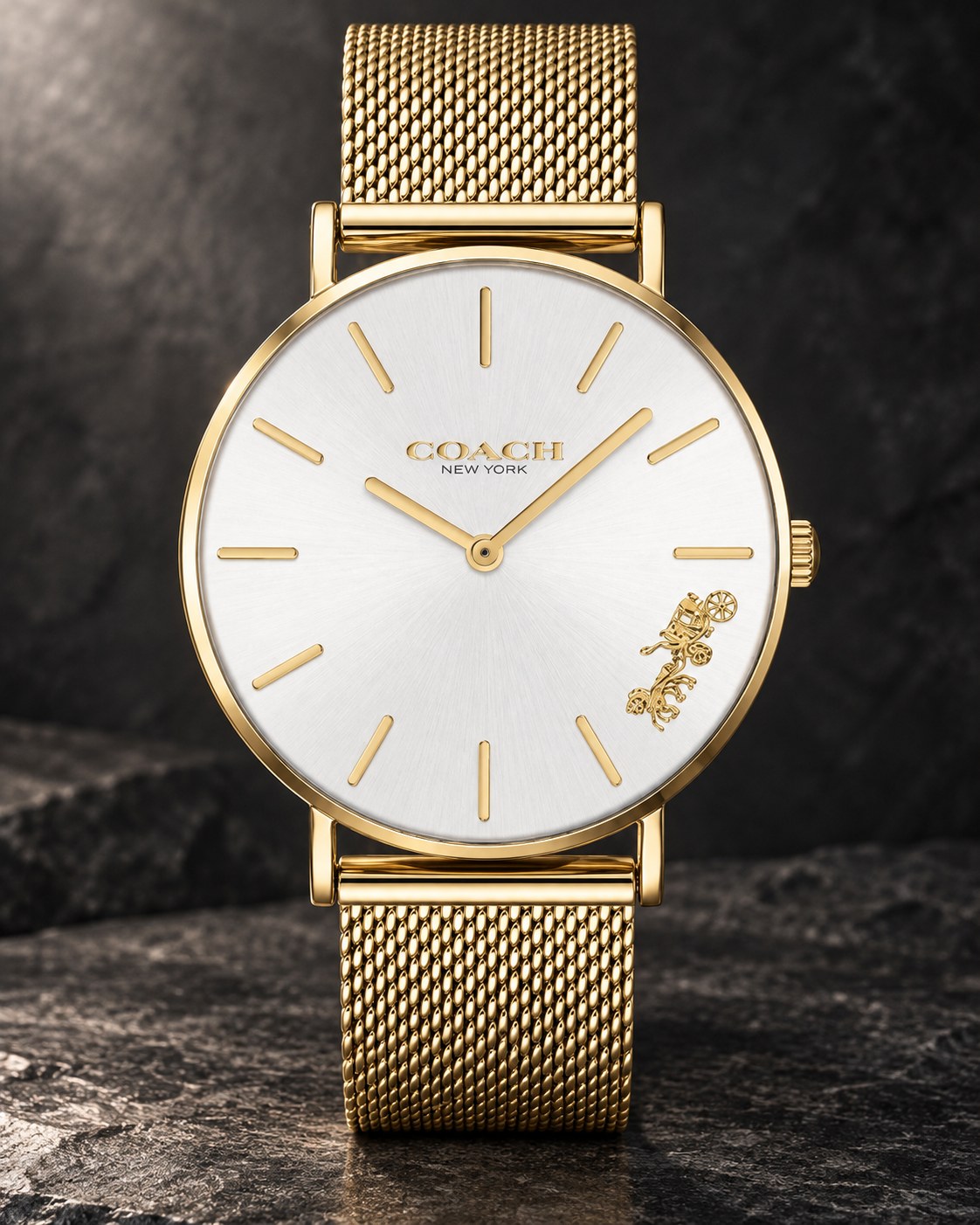 Coach watch 14503125 product view 2