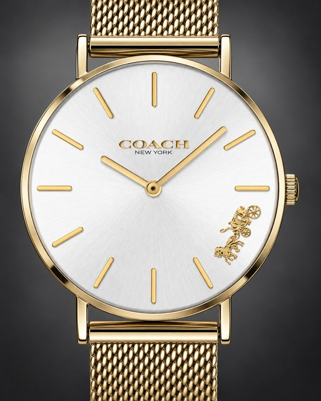 Coach watch 14503125 product view 3