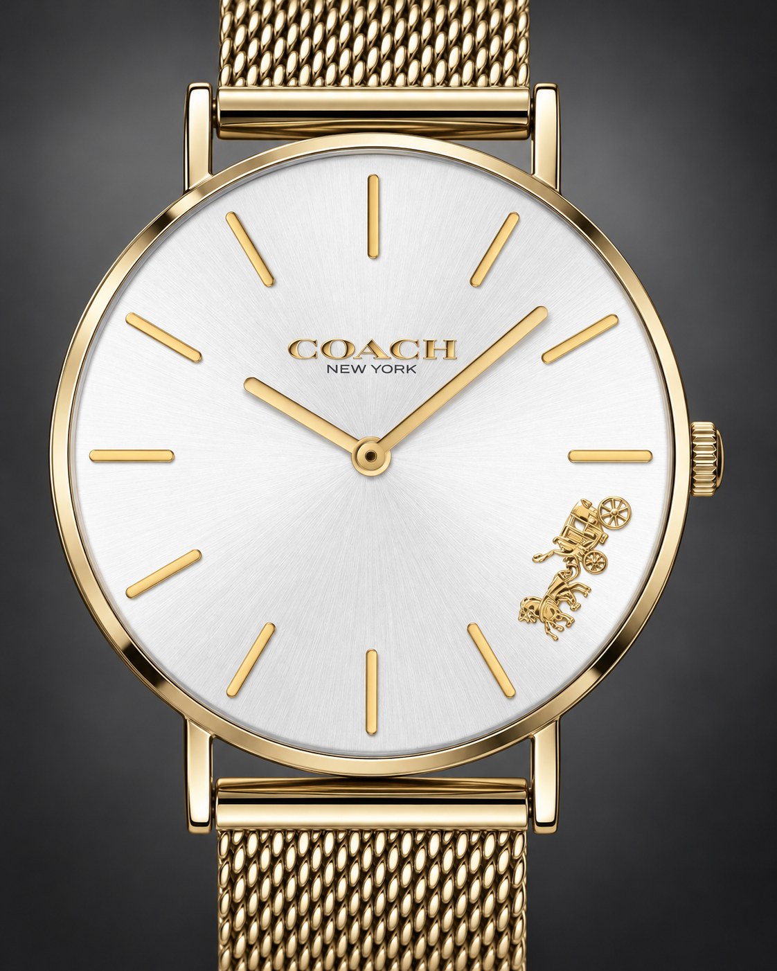 Coach watch 14503125 product view 3