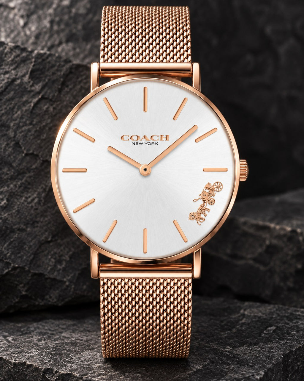 Coach watch 14503126 product view 2