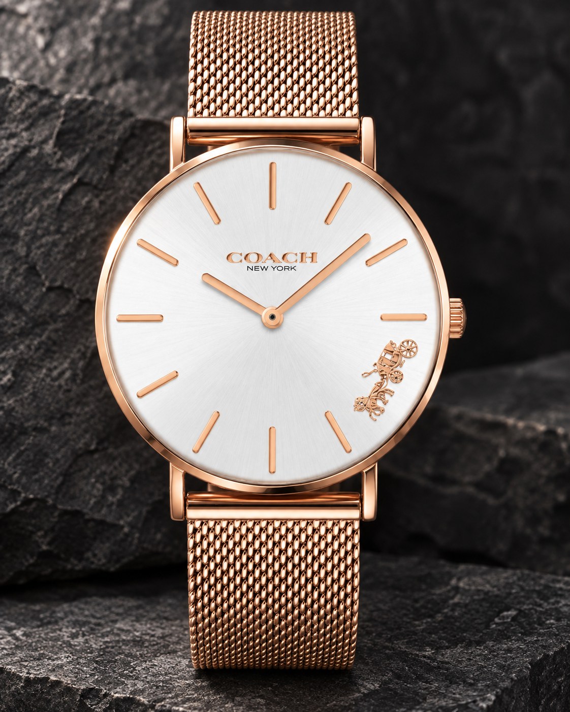 Coach watch 14503126 product view 2