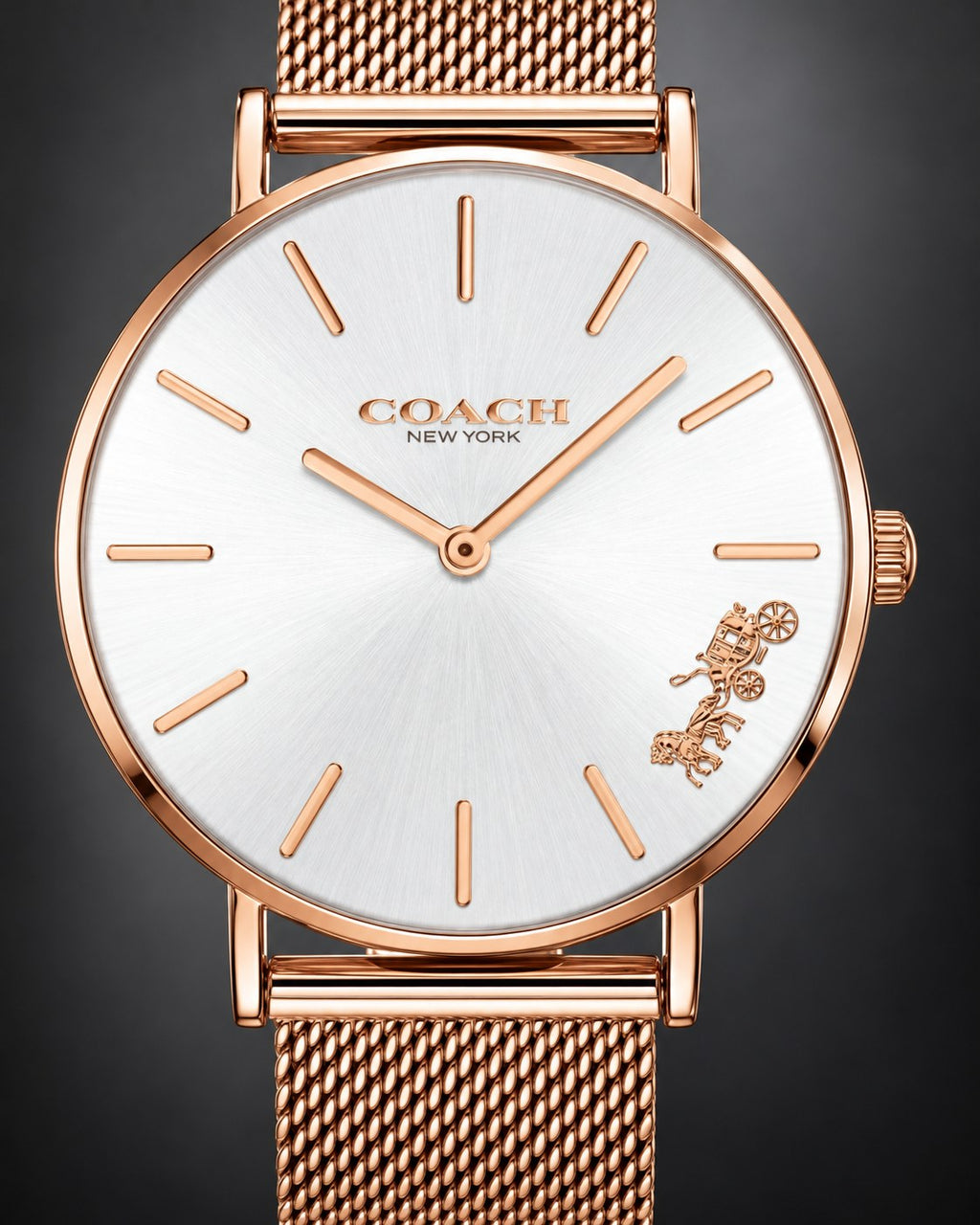 Coach watch 14503126 product view 3