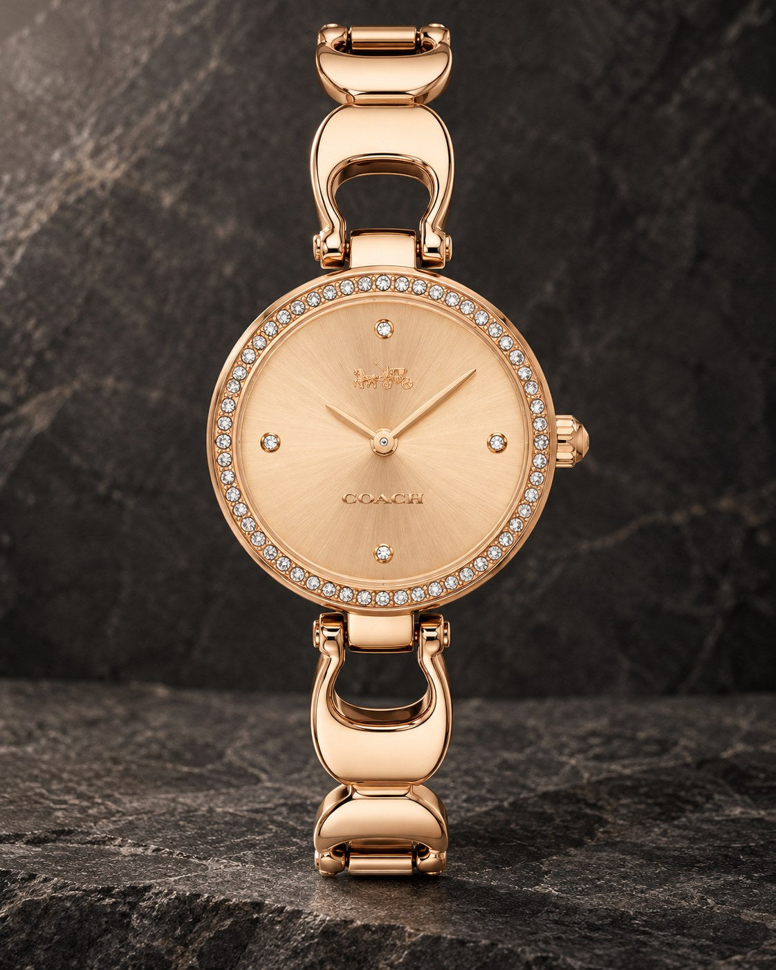Coach watch 14503172 product view 2