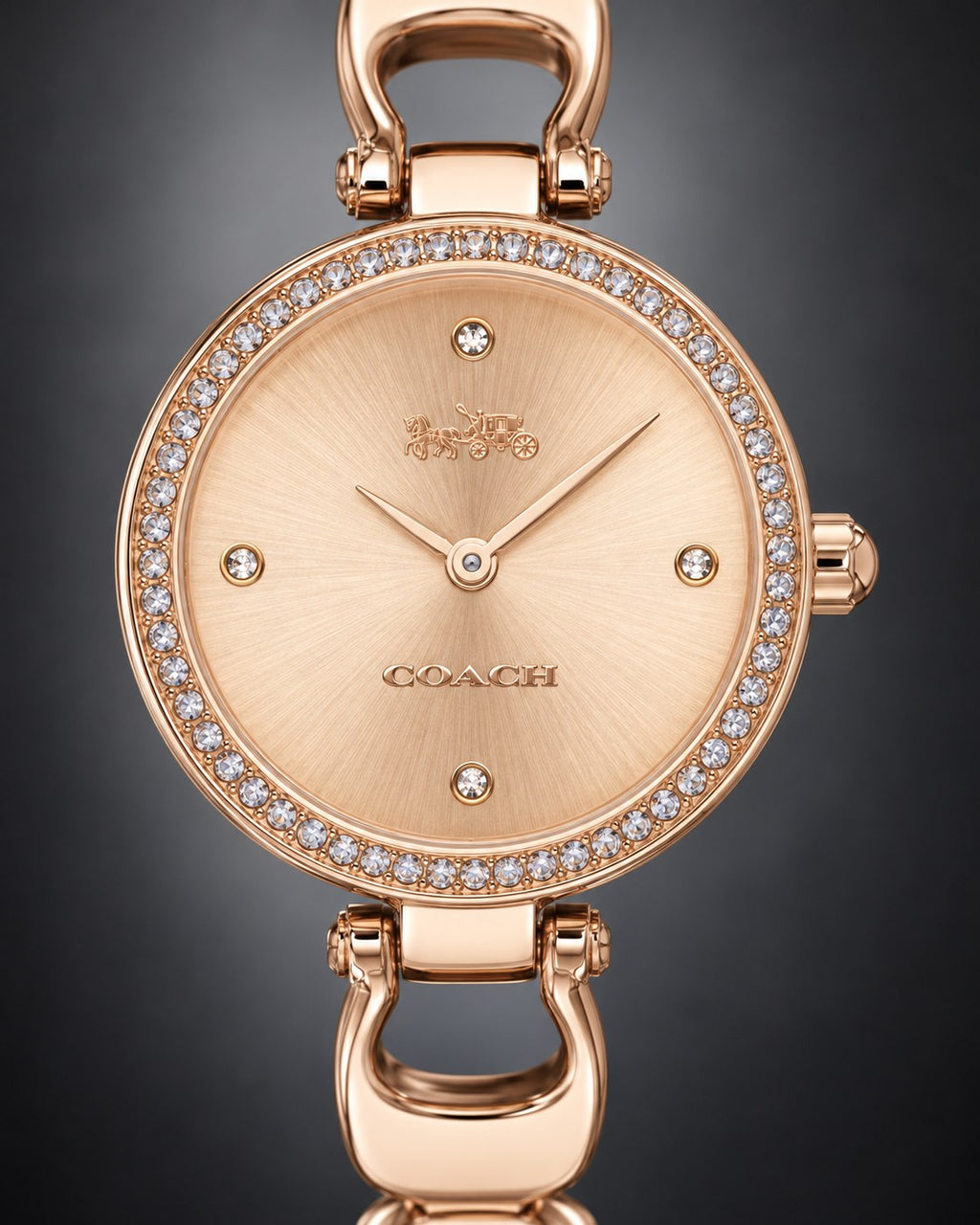 Coach watch 14503172 product view 3