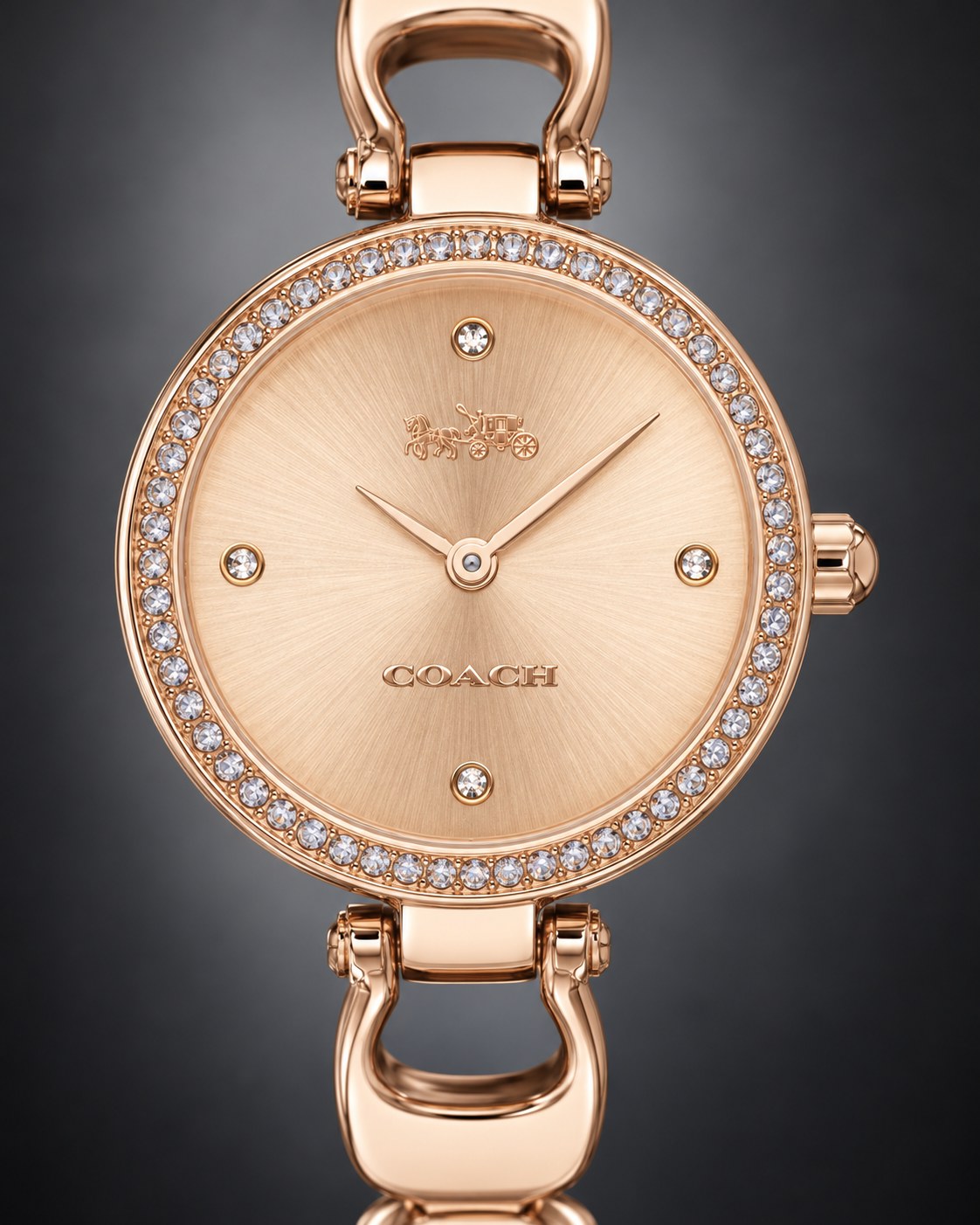 Coach watch 14503172 product view 3