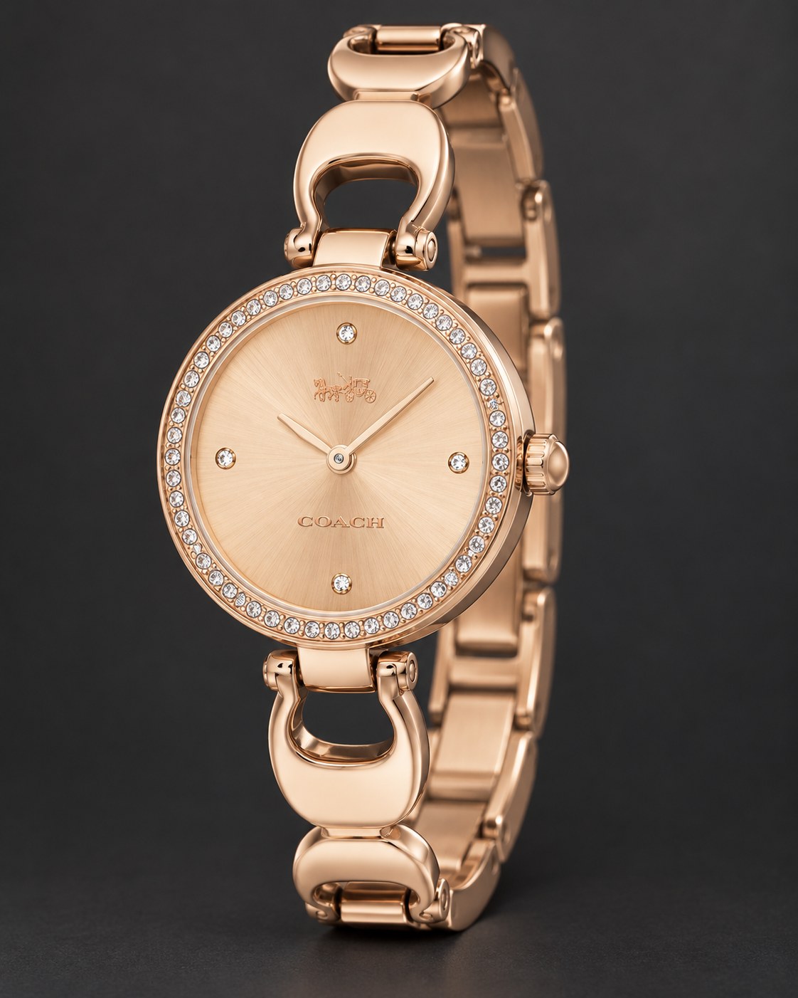 Coach watch 14503172 product view 5