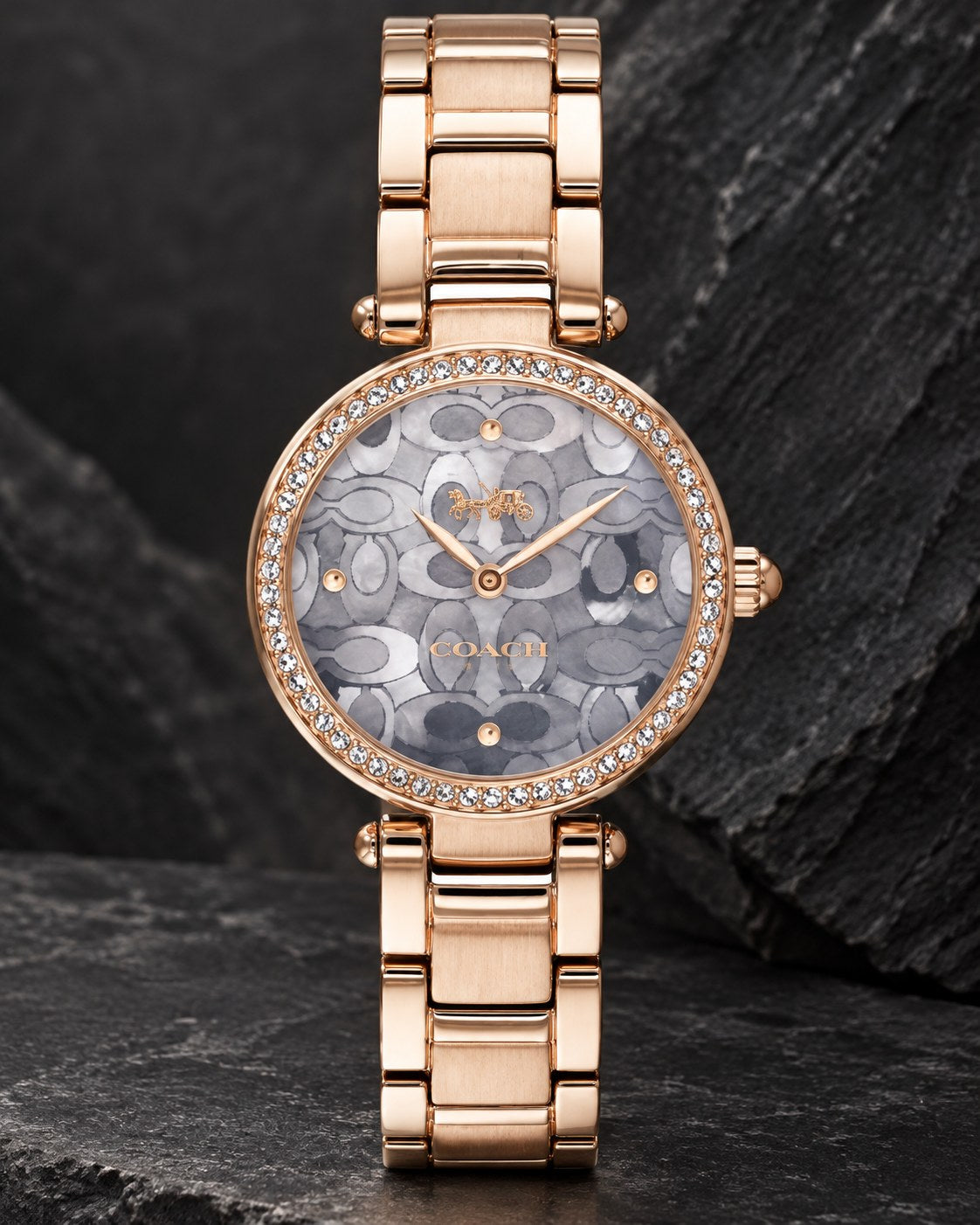 Coach watch 14503226 product view 2