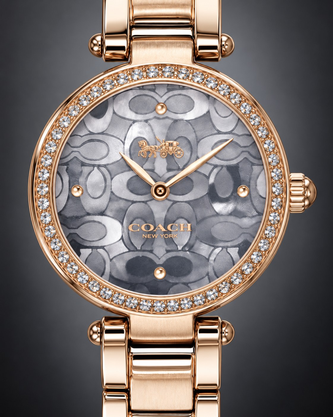 Coach watch 14503226 product view 3