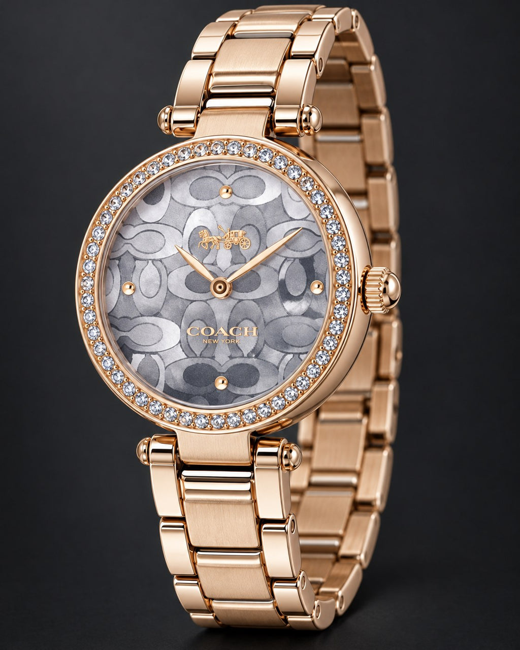 Coach watch 14503226 product view 5