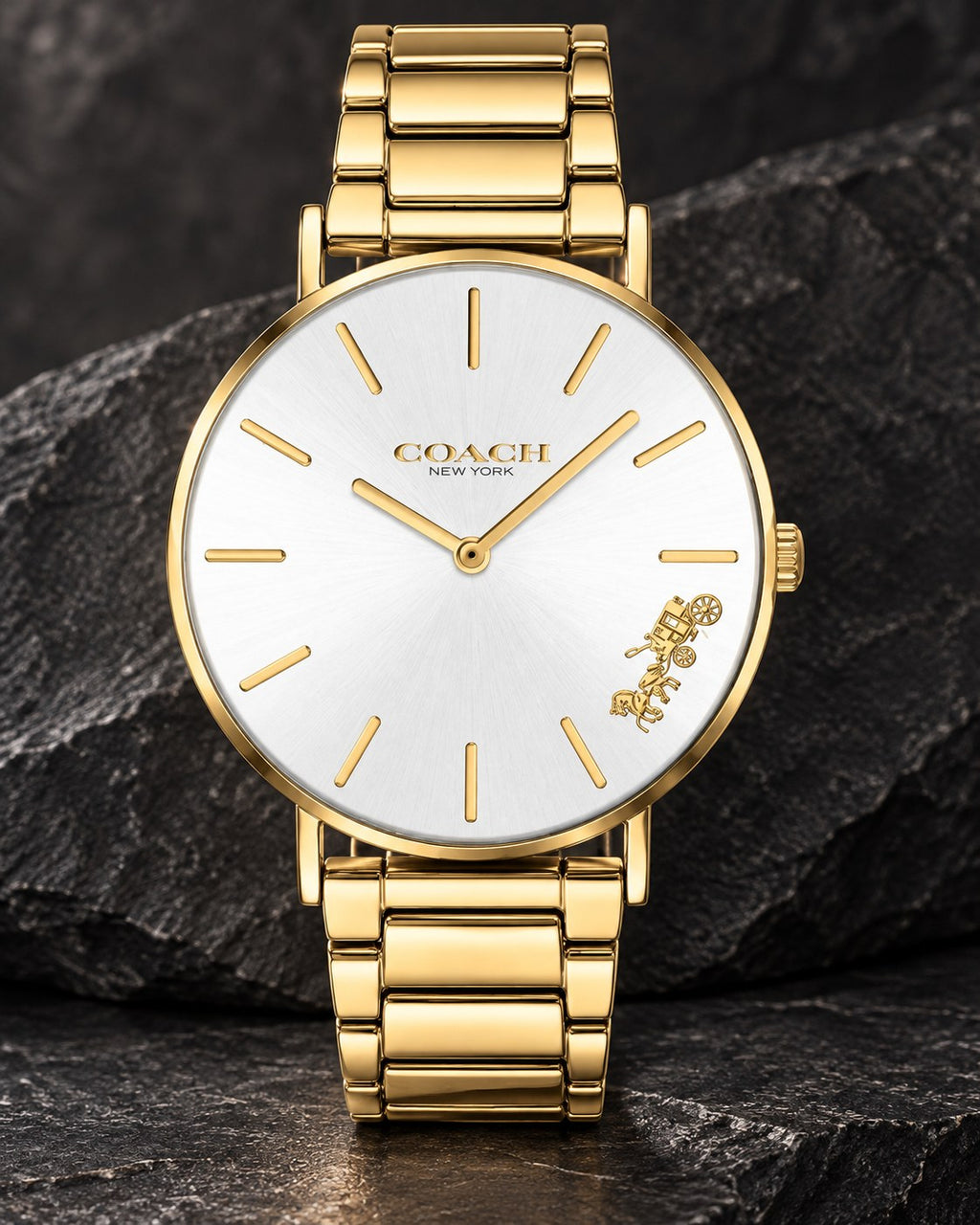 Coach watch 14503345 product view 2