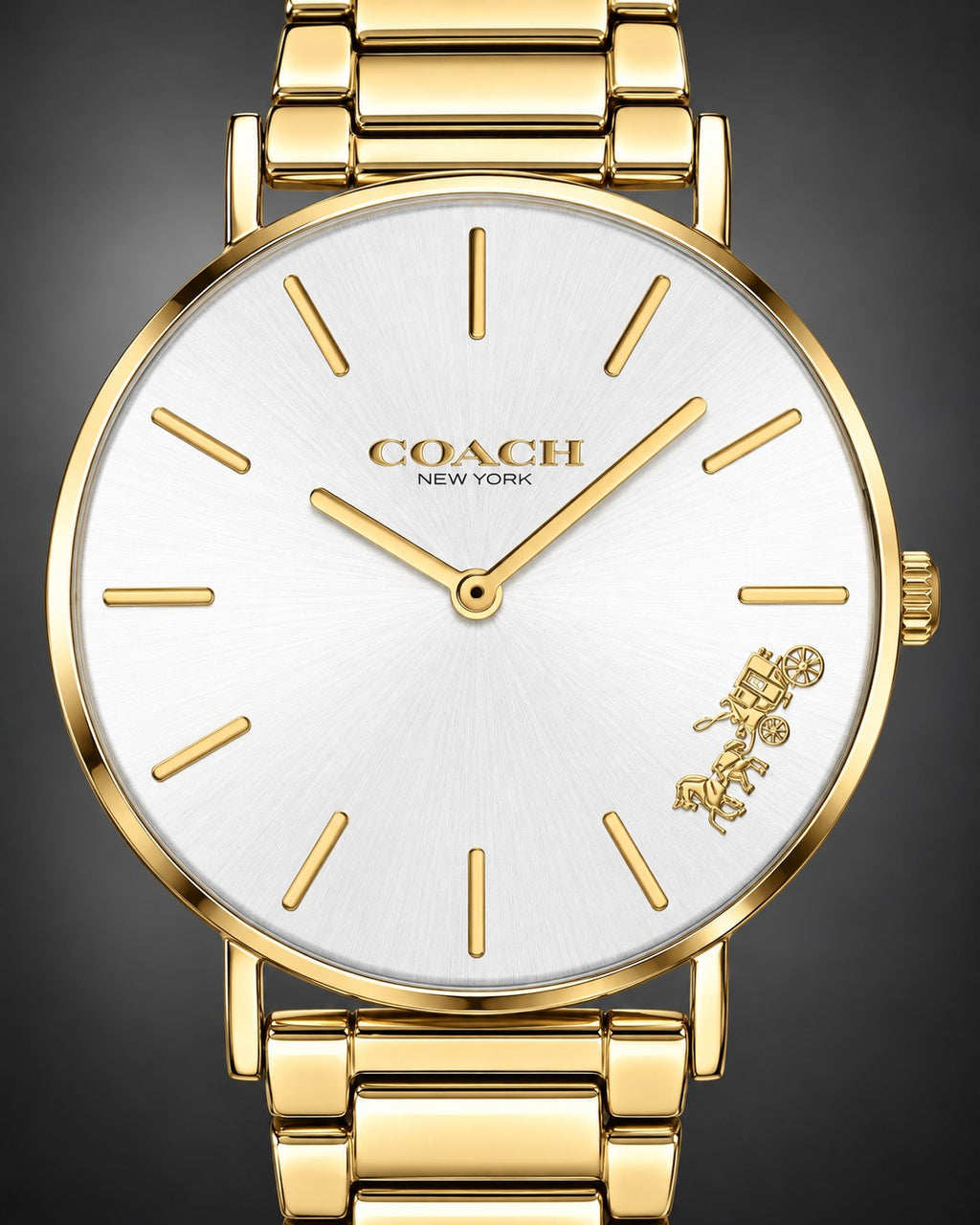 Coach watch 14503345 product view 3