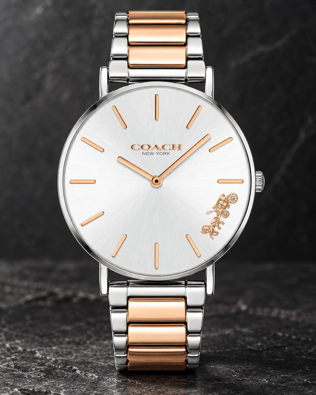 Coach watch 14503346 product view 2