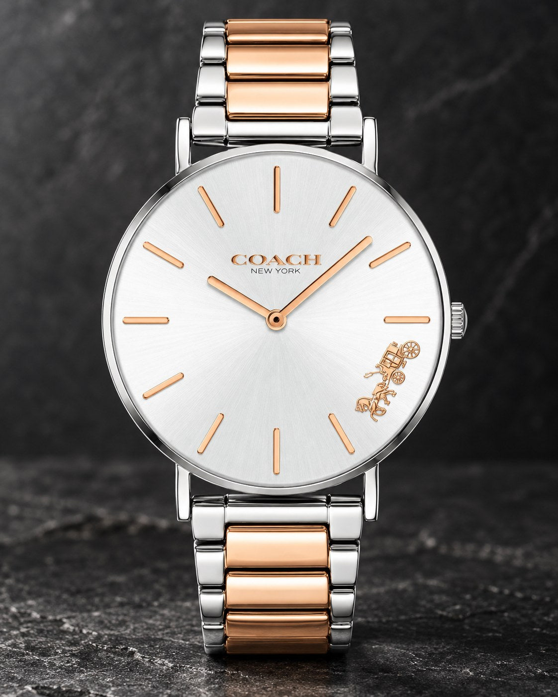 Coach watch 14503346 product view 2