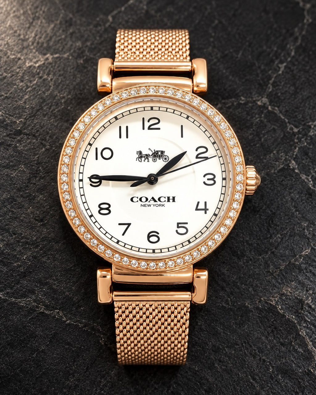 Coach watch 14503398 product view 2