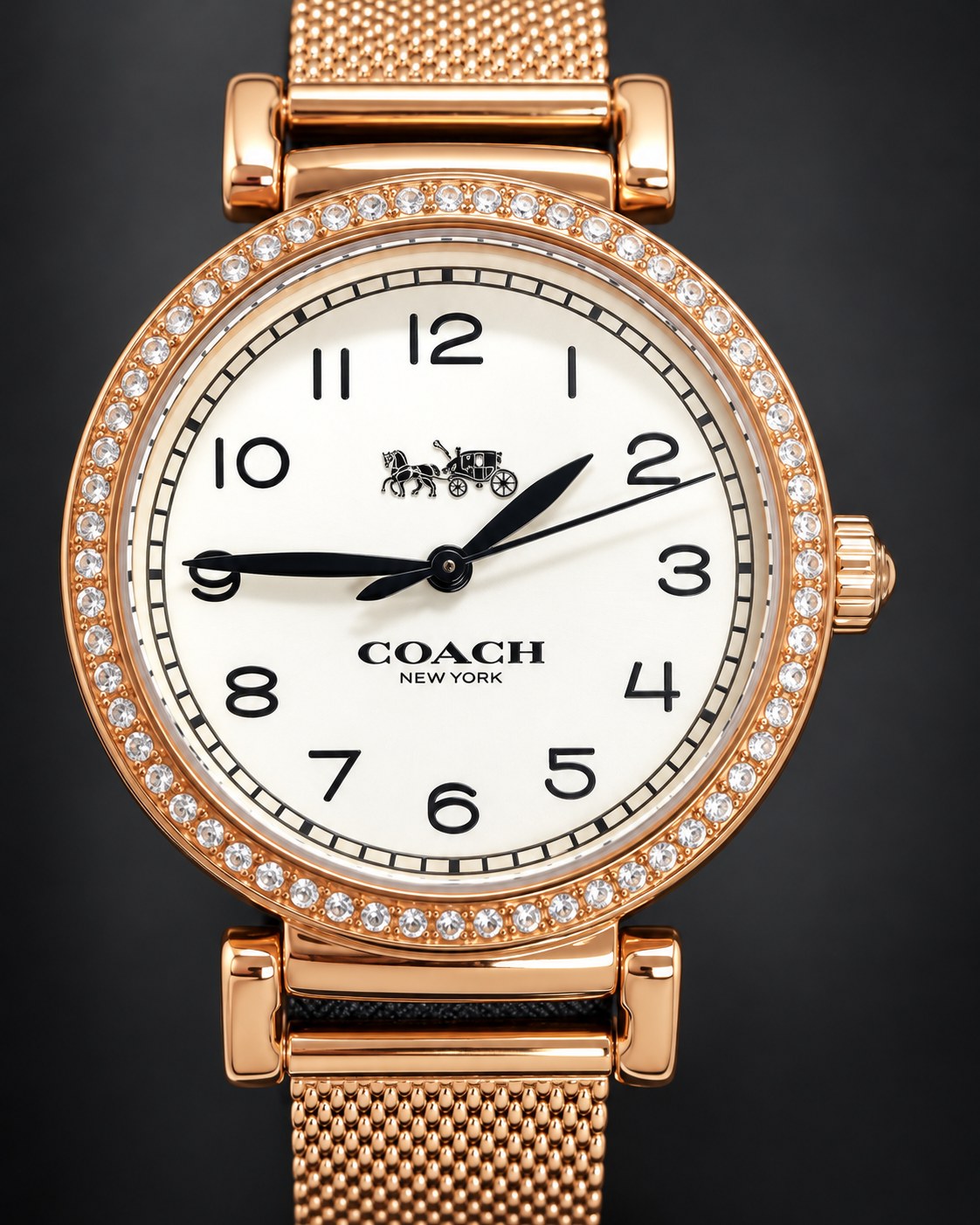 Coach watch 14503398 product view 3