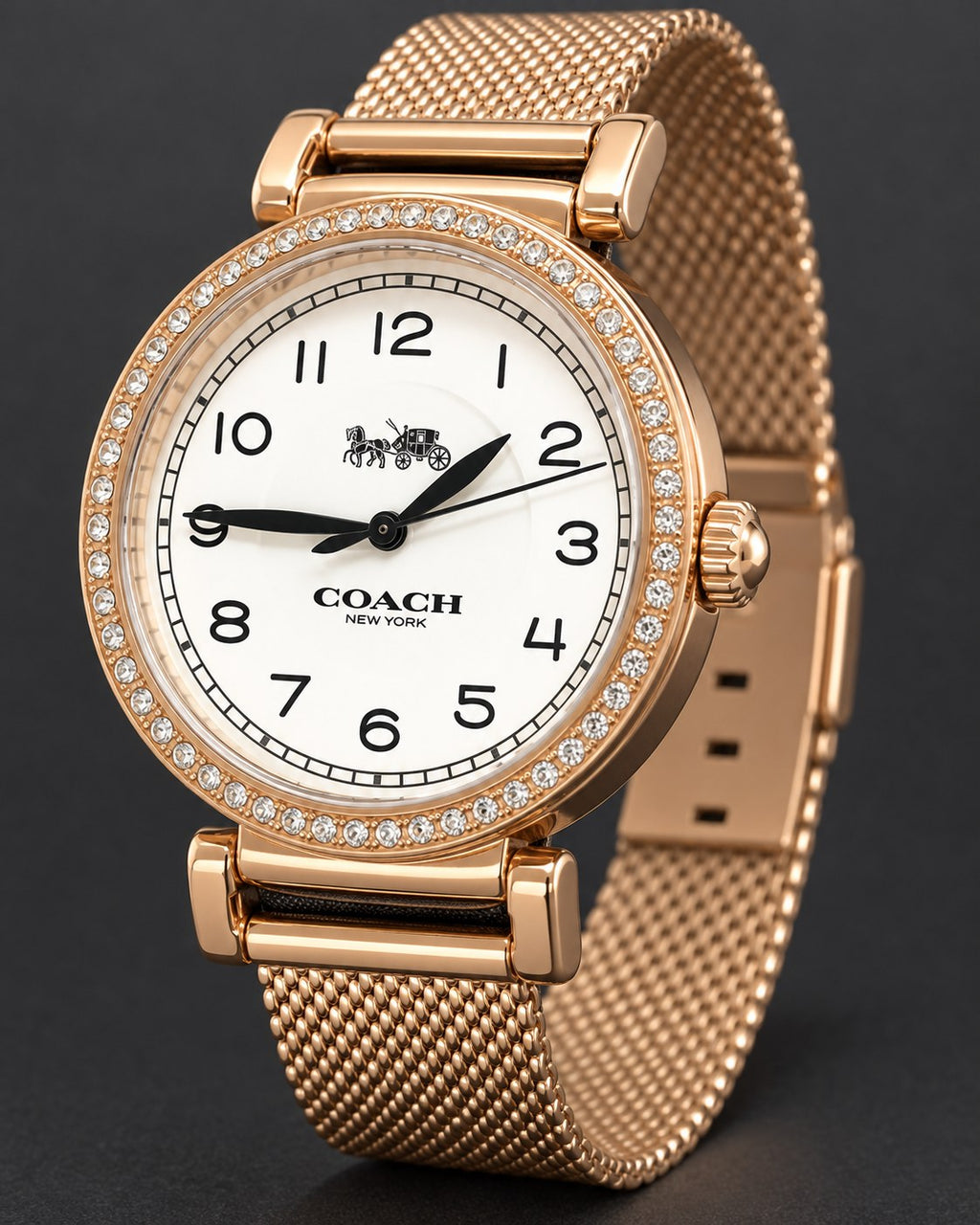 Coach watch 14503398 product view 5
