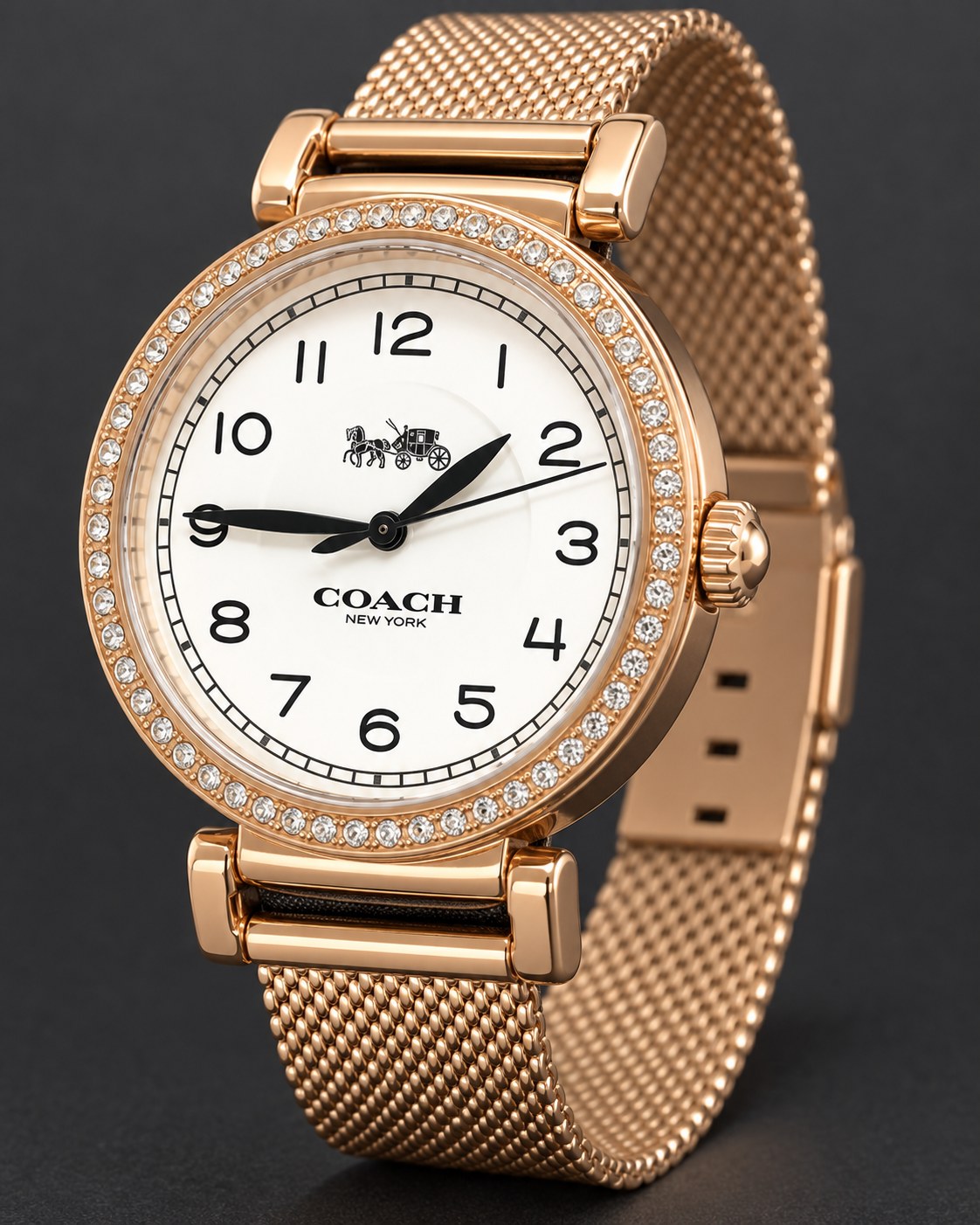 Coach watch 14503398 product view 5