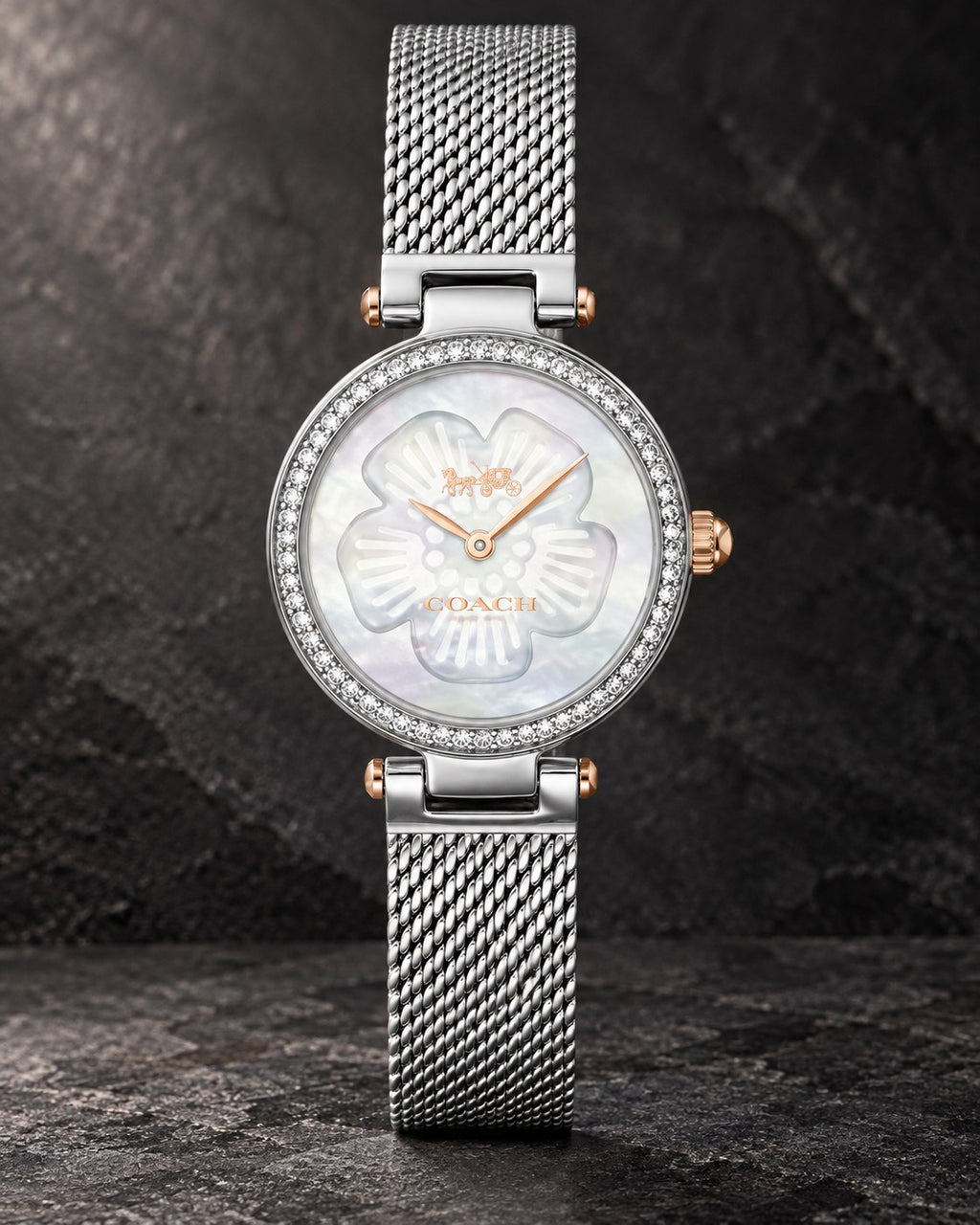Coach watch 14503510 product view 2
