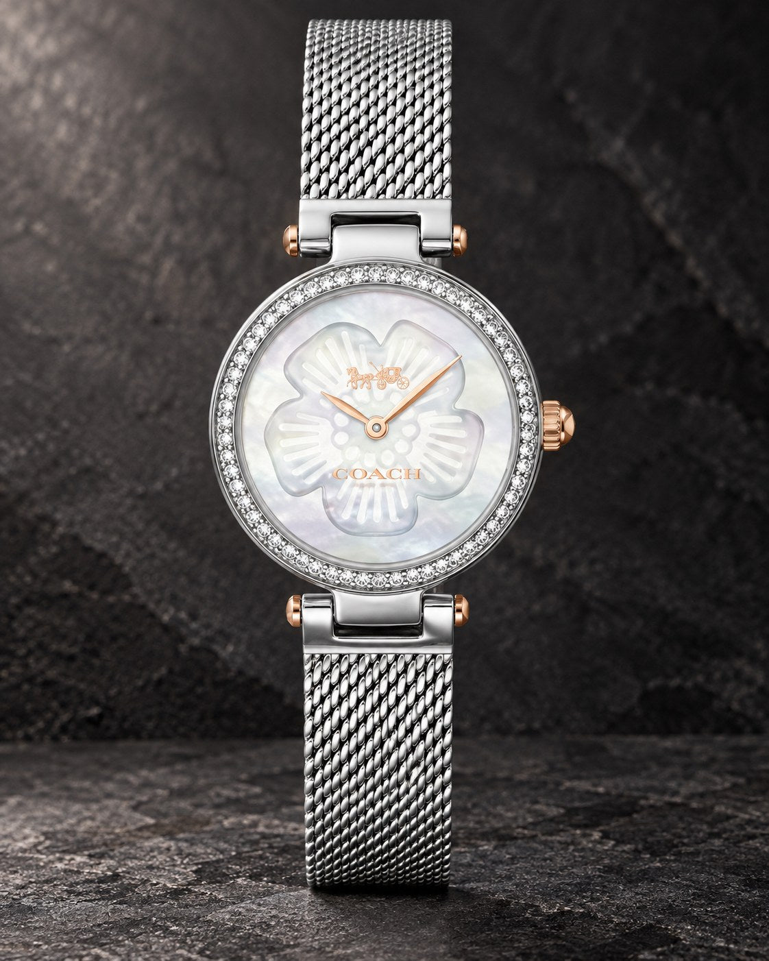 Coach watch 14503510 product view 2
