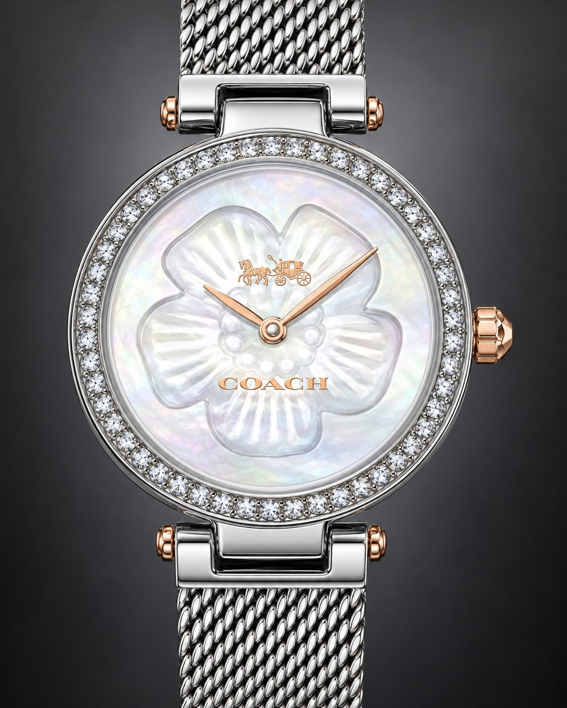Coach watch 14503510 product view 3