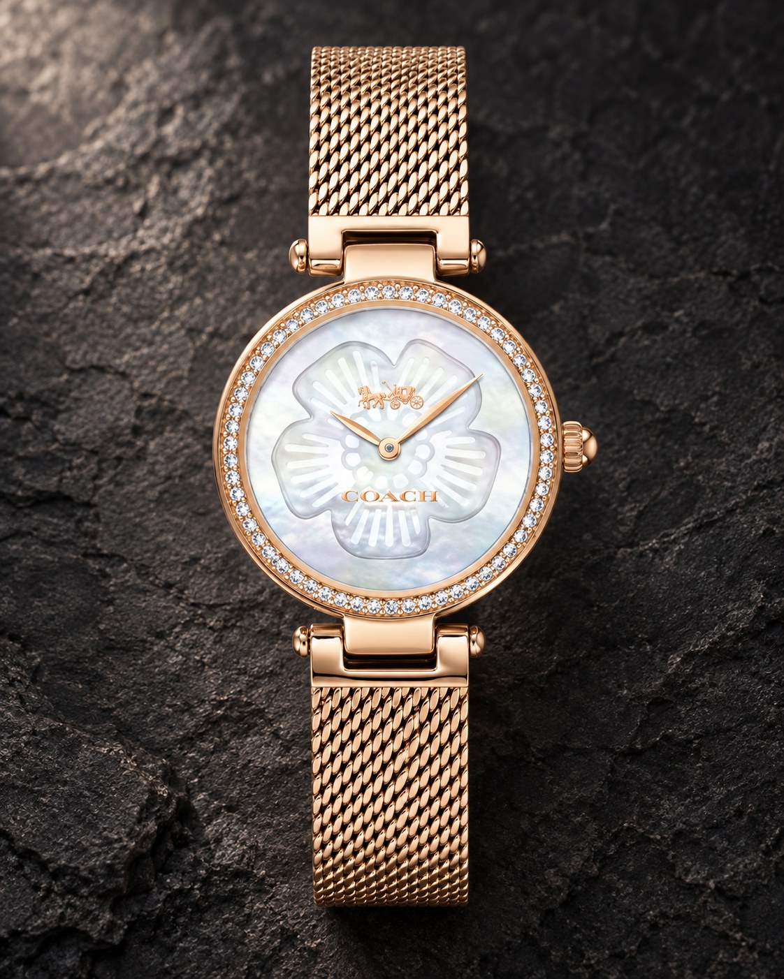 Coach watch 14503511 product view 2