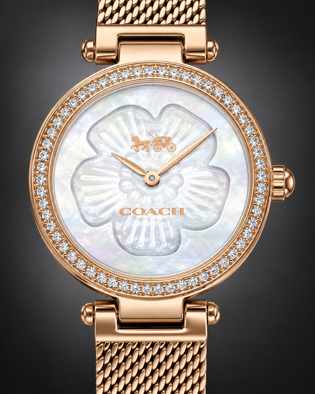 Coach watch 14503511 product view 3