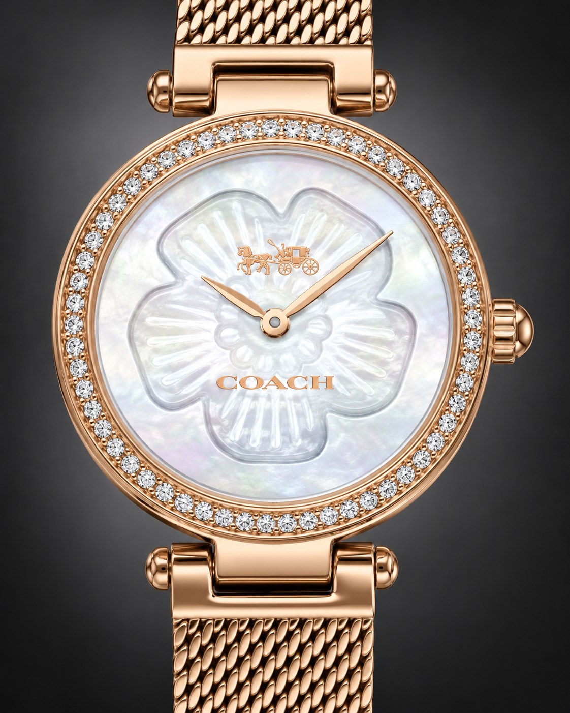 Coach watch 14503511 product view 3