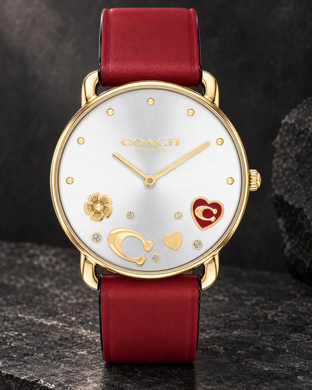 Coach watch 14504520 product view 2