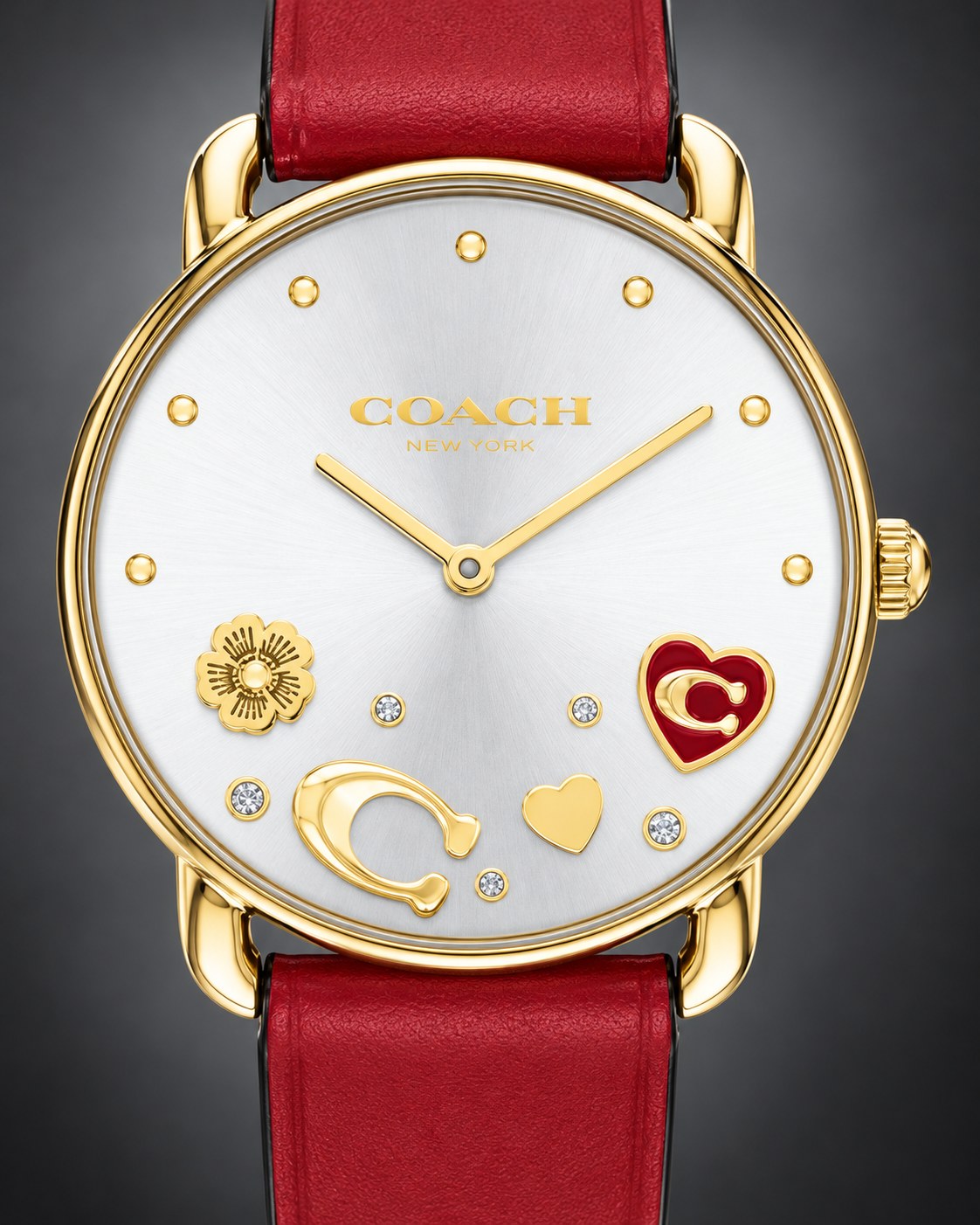Coach watch 14504520 product view 3